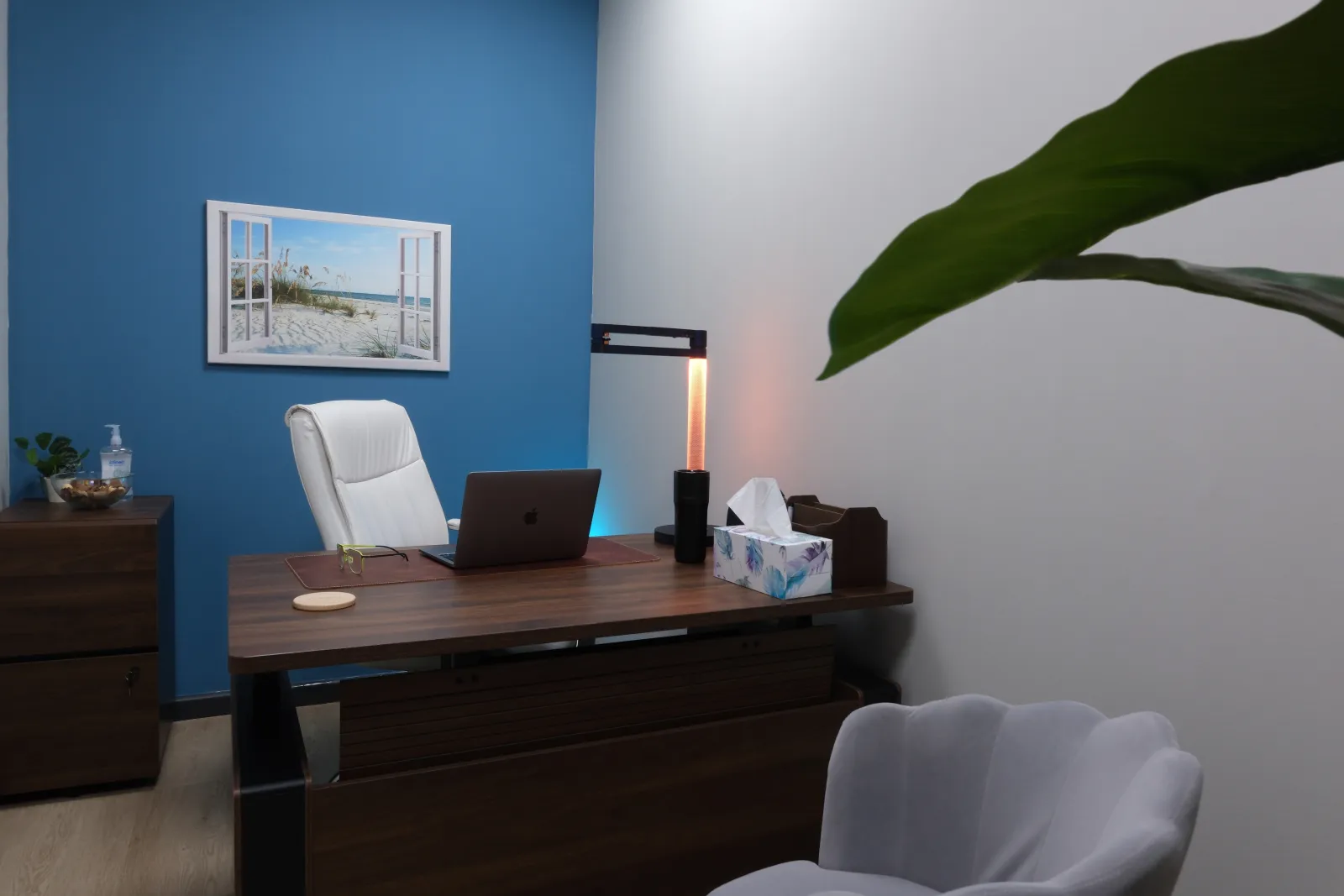 The consulting room desk and seating